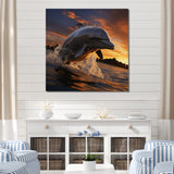 Dolphin Sunlit Silhouettes - Dolphin Home Decor Art