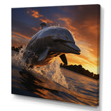 Dolphin Sunlit Silhouettes - Dolphin Home Decor Art