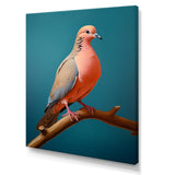 Coral Companion Dove - Coral Dove Wall Art