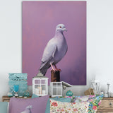 Polished Dove - Dove Wall Art Prints