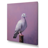 Polished Dove - Dove Wall Art Prints