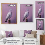 Polished Dove - Dove Wall Art Prints