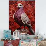 Messenger Dove - Coral Dove Wall Art