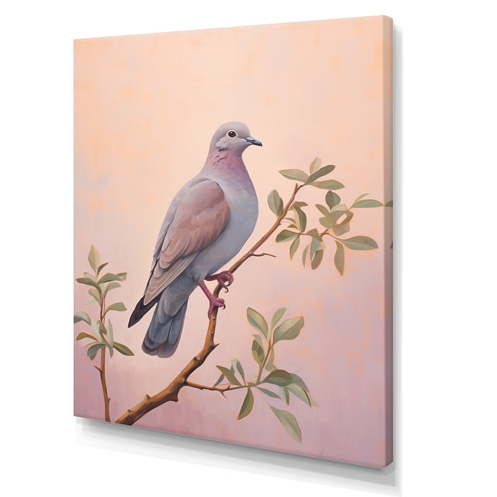Dove S Soothing Presence - Dove Canvas Wall Art