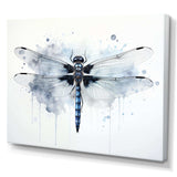 Dragonfly Elegance I - Animals Canvas Wall Art