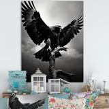 Powerful Bold Eagle - Eagle Canvas Wall Art