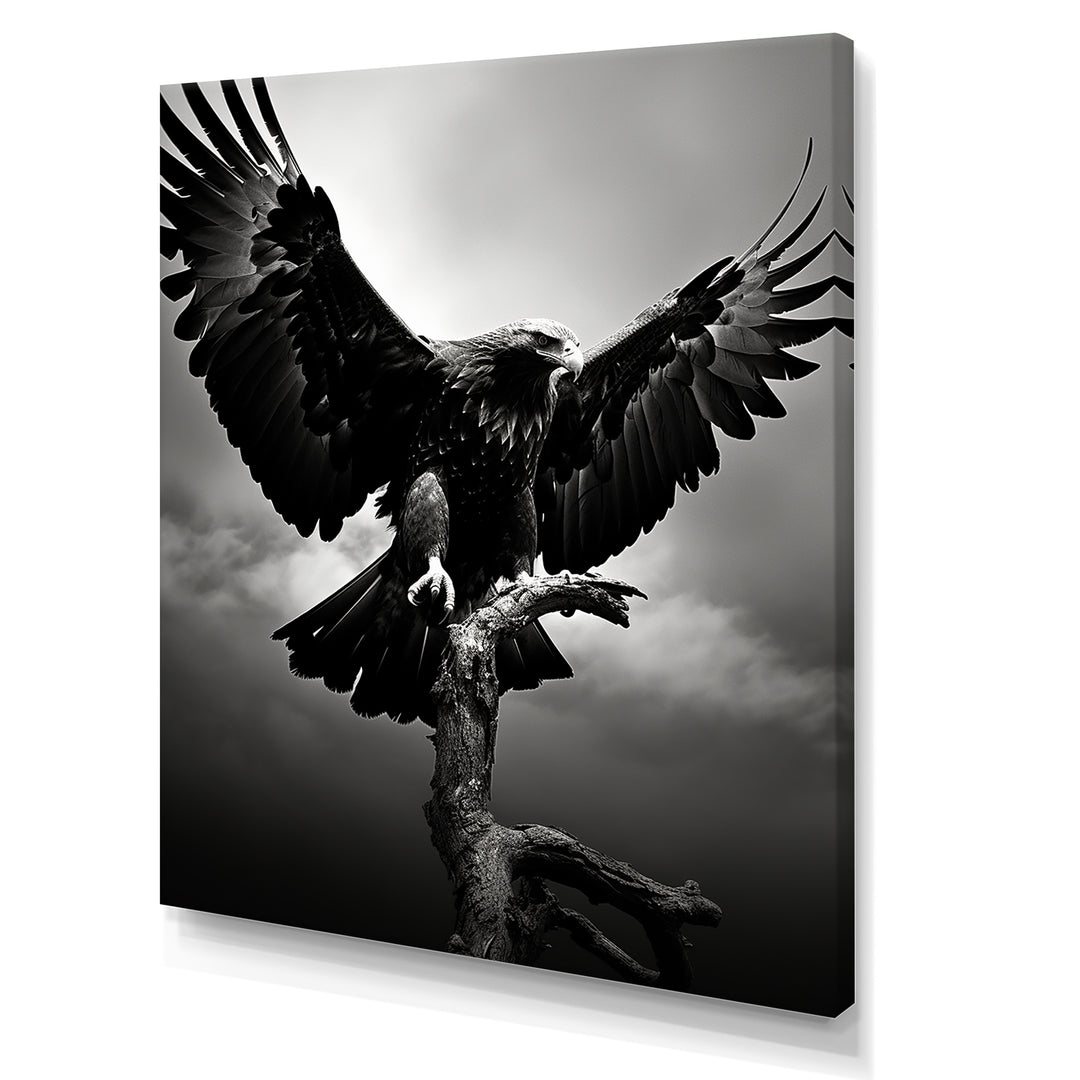 Powerful Bold Eagle - Eagle Canvas Wall Art
