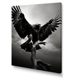 Powerful Bold Eagle - Eagle Canvas Wall Art