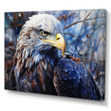 Bold Eagle Strong Gaze - Eagle Wall Art Prints