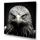 Bold Eagle Power Hunter - Eagle Framed Canvas Art