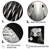 Bold Eagle Power Hunter - Eagle Framed Canvas Art