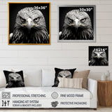 Bold Eagle Power Hunter - Eagle Framed Canvas Art