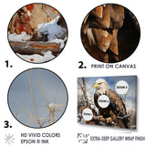 Brown Resilient Bold Eagle - Eagle Bedroom Wall Art