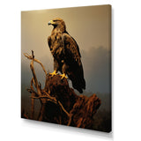 Eagle S Grace At Top - Eagle Canvas Wall Art