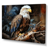 Eagle S Grace At Branch Domain - Eagle Wall Decor