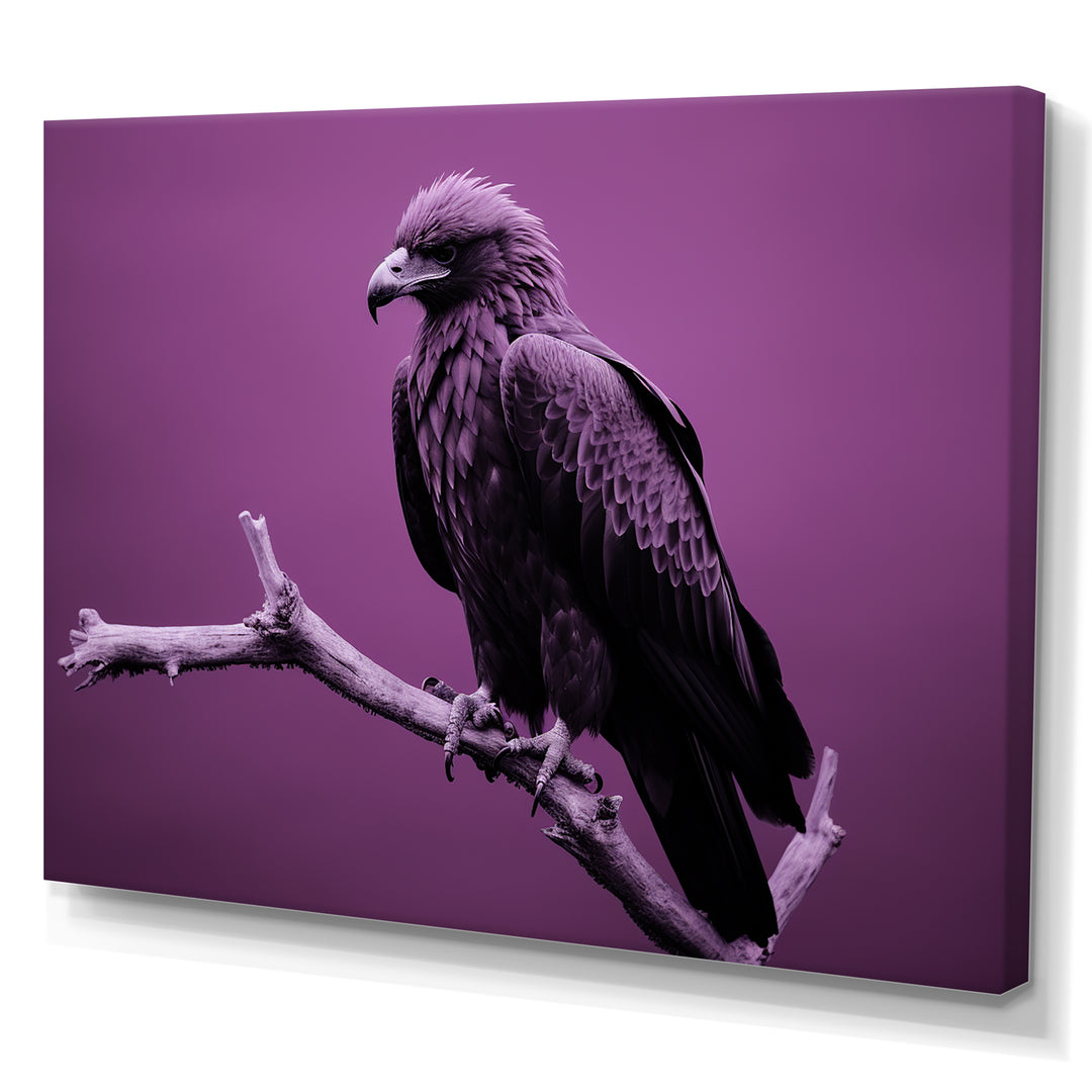 Purple Eagle S Grace At Branch Domain - Eagle Wall Decor