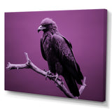 Purple Eagle S Grace At Branch Domain - Eagle Wall Decor