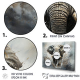 Elephant Symphony Stampede - Gray Elephant Wall Art