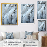 Light As A Feather - Feathers Canvas Wall Art