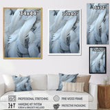 Light As A Feather - Feathers Canvas Wall Art