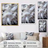 Light As A Feather I - Animals Canvas Wall Art