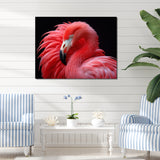 Blushing Red Flamingos - Flamingo Bedroom Wall Art