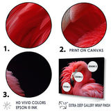 Blushing Red Flamingos - Flamingo Bedroom Wall Art