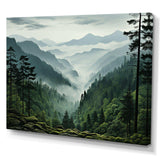 Mystic Wilderness Pine Forest In Canada III - Landscapes Canvas Wall Art