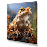Classic Frog Portrait - Frog Wall Art Prints