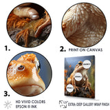 Classic Frog Portrait - Frog Wall Art Prints