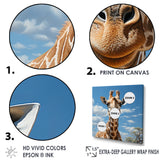 Brown Giraffe Dreamy Long Neck - Giraffe Living Room Wall Art