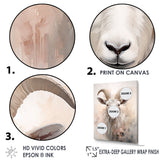 Cute Floral Beige Goat - Goat Canvas Wall Art