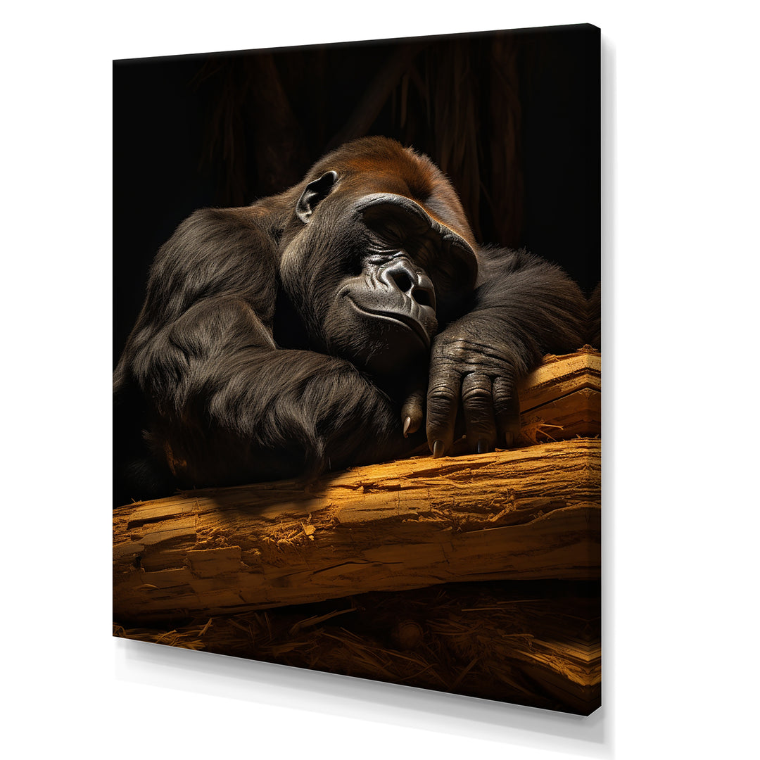 Gorillas Siesta - Gorilla Living Room Wall Art