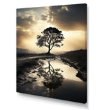 Natures Relaxing Tree Monochrome Photo - Landscapes Canvas Wall Art