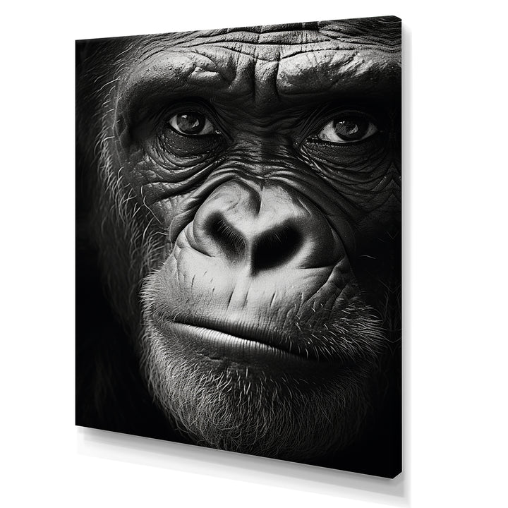 The Gorilla Matriarch - Gorilla Wall Decor