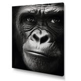 The Gorilla Matriarch - Gorilla Wall Decor