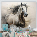 Hooves In Harmony Horse I - Animals Canvas Wall Art