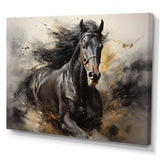 Black Stallion In Motion I - Animals Canvas Wall Art