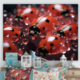 Dreamy Ladybug Reflections - Ladybug Wall Art Prints
