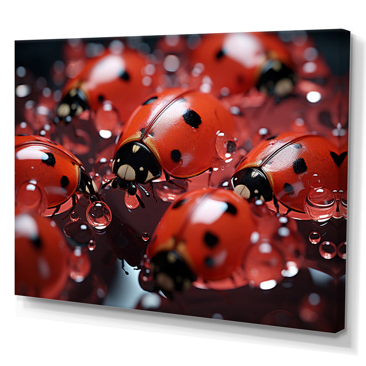 Dreamy Ladybug Reflections - Ladybug Wall Art Prints