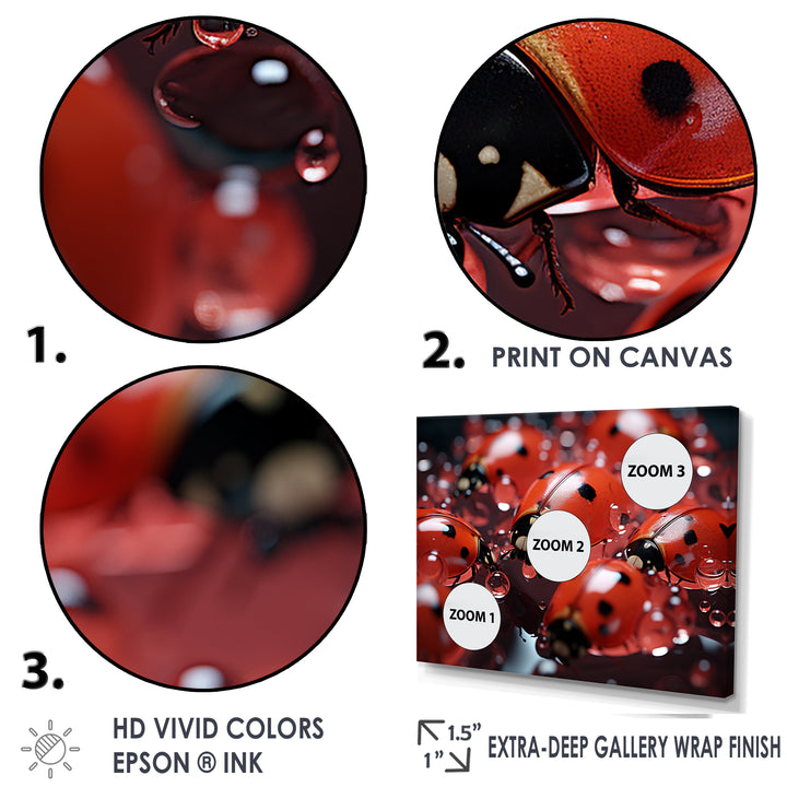 Dreamy Ladybug Reflections - Ladybug Wall Art Prints