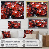 Dreamy Ladybug Reflections - Ladybug Wall Art Prints
