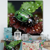 Enchanted Ladybug Forest - Ladybug Framed Canvas Art