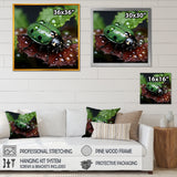 Enchanted Ladybug Forest - Ladybug Framed Canvas Art