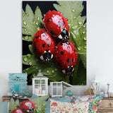 Tiny Ladybug Garden Guardians - Ladybug Canvas Wall Art