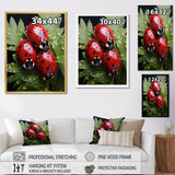 Tiny Ladybug Garden Guardians - Ladybug Canvas Wall Art