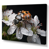 Nature S Mystery Blooming Ladybug - Ladybug Wall Art Prints