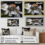 Nature S Mystery Blooming Ladybug - Ladybug Wall Art Prints
