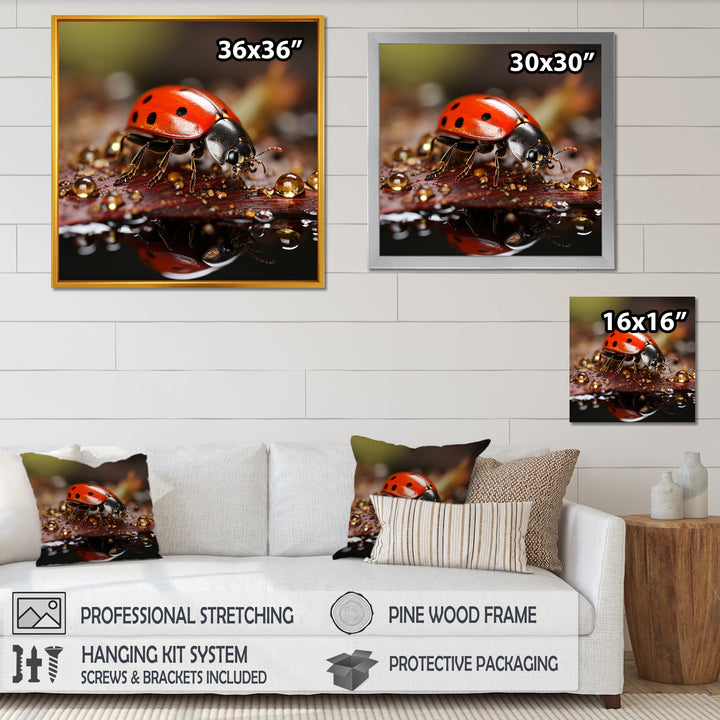 Lively Ladybug Reflections - Ladybug Framed Canvas Art