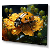 Sunshine Ladybug Travel Splendor - Ladybug Home Decor Art